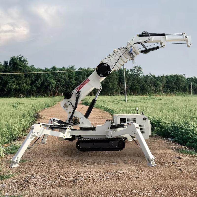 Compact Mini Spider Crane 1.5T - Compact Crawler Boom Lift のレビューと価格