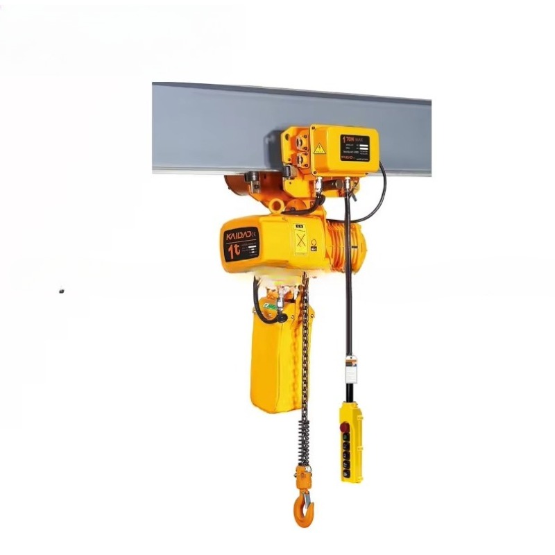 Dual Speed Electric Chain Hois - Heavy Equipment Lifting のレビューと価格