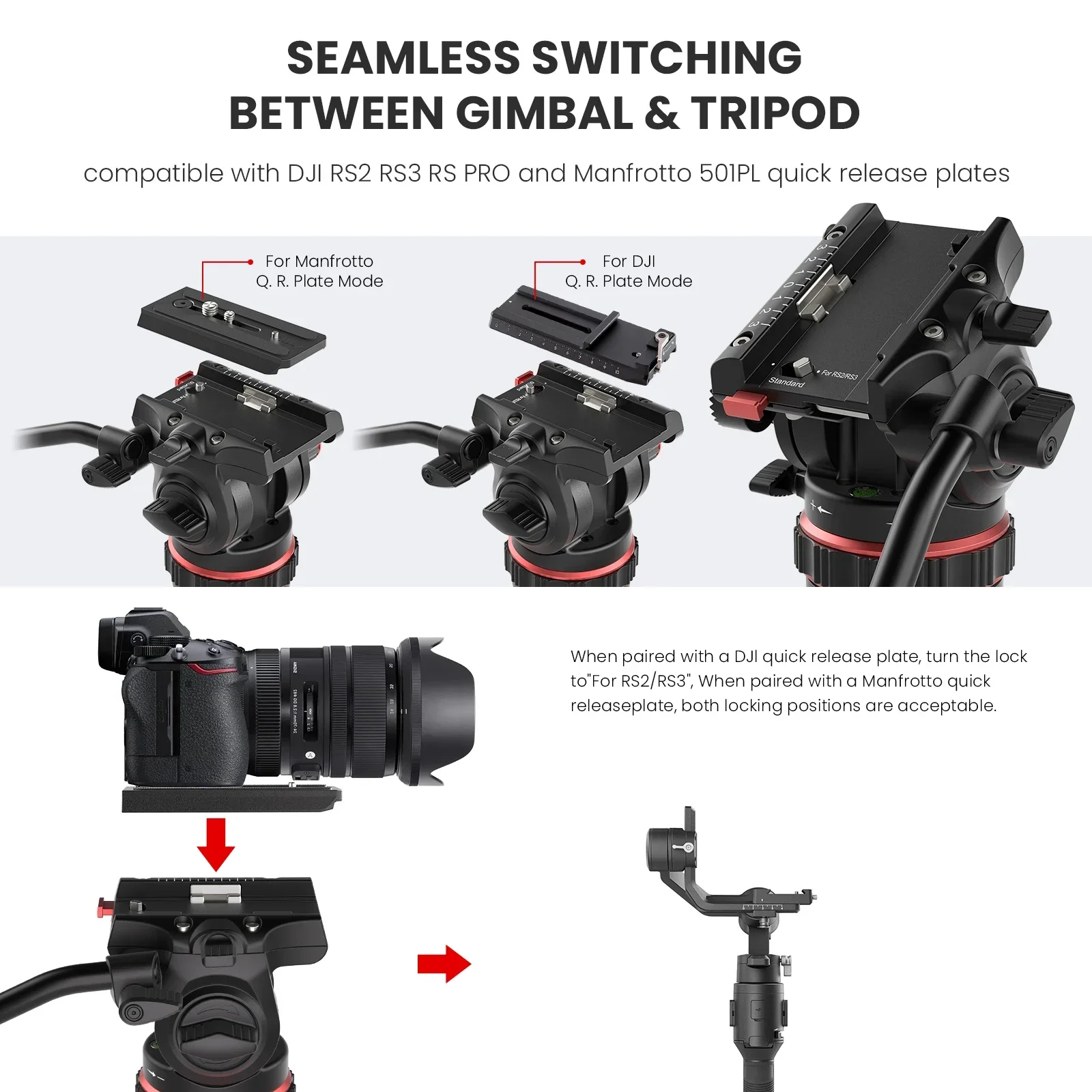 EVUMO DF6 Professional Video T - Heavy Equipment Video のレビューと価格
